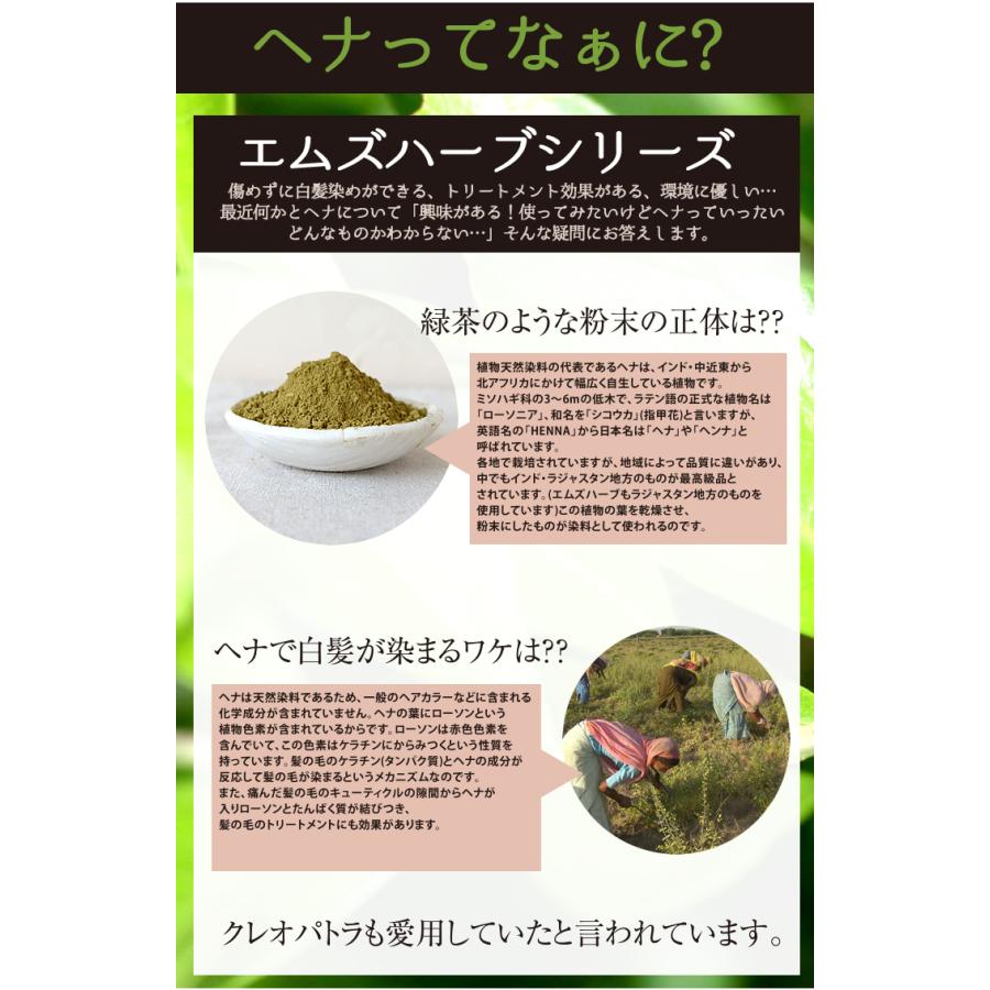 10種類から選べるエムズヘナ＆ハーブ100g×2個セット 白髪染め 男性用