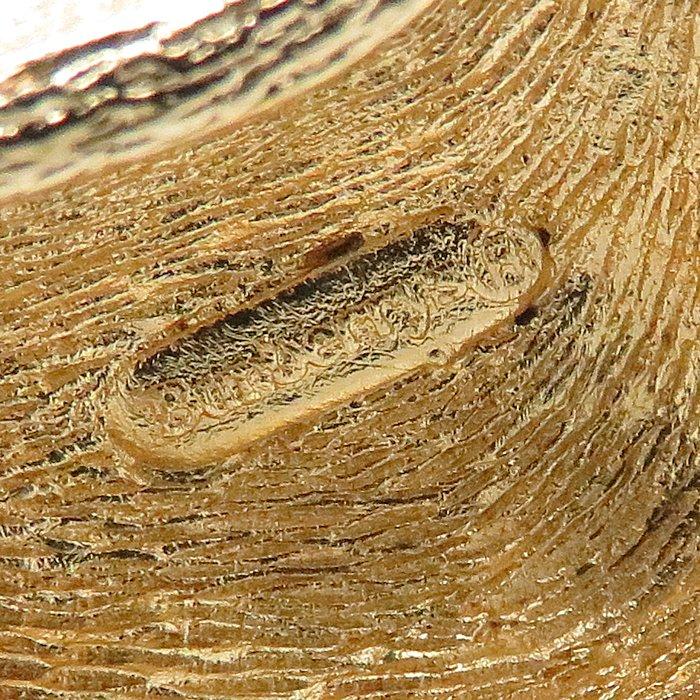 BURBERRY（バーバリー） ブローチ 犬モチーフ GP ゴールドメッキ