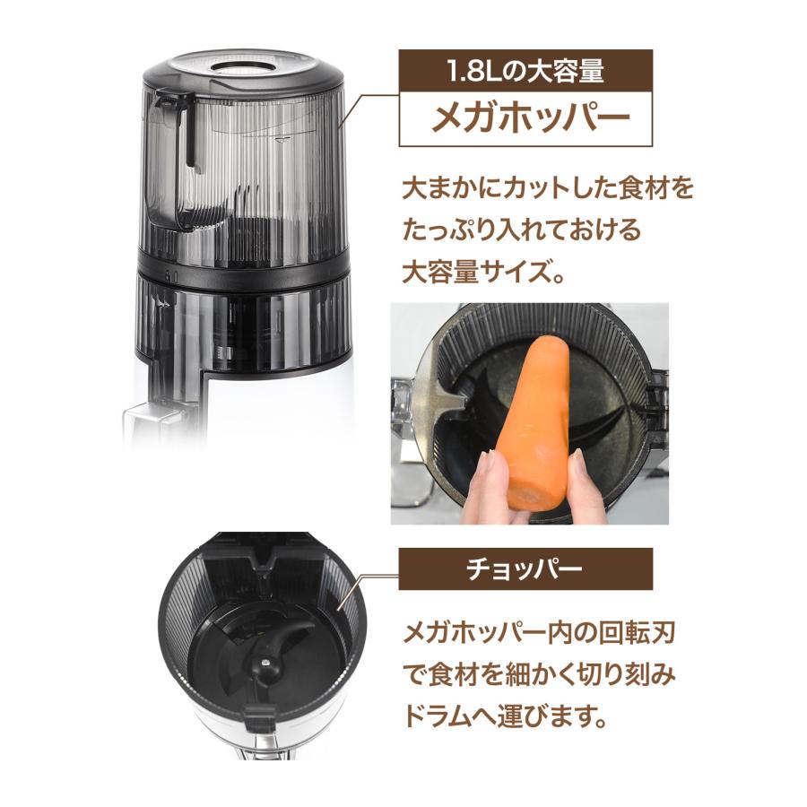 HUROM（ヒューロム） 特典10％OFF 2024年最新 ジューサー スロー