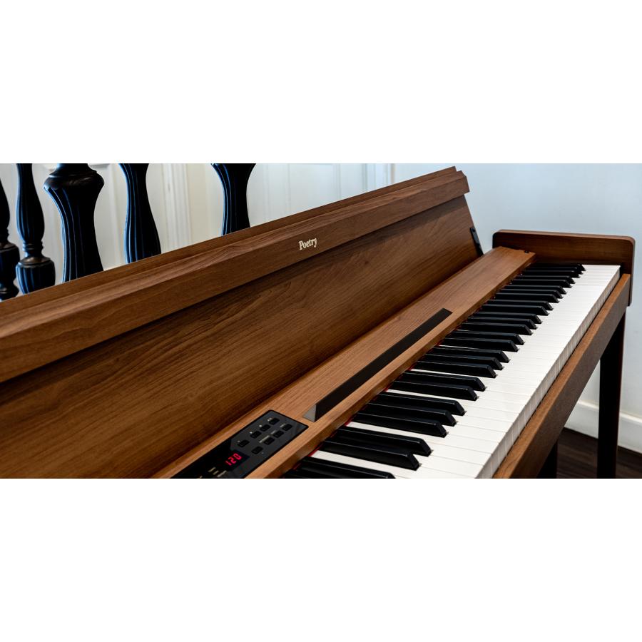 KORG（コルグ） 【2/27〜爆買WEEK】新品【最短翌日お届け】コルグ 電子