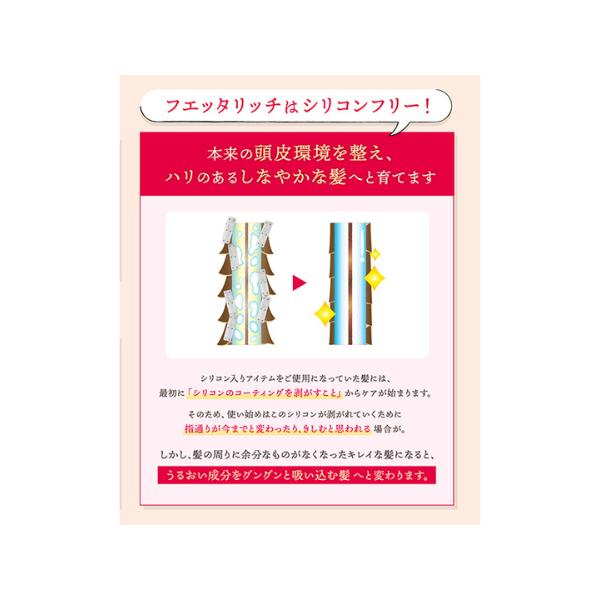 fuettarich（フエッタリッチ） モイストアップトリートメント ヘア