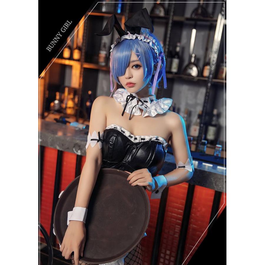 ウィッグ付き Re:ゼロから始める異世界生活 風 リゼロ レム ブルー