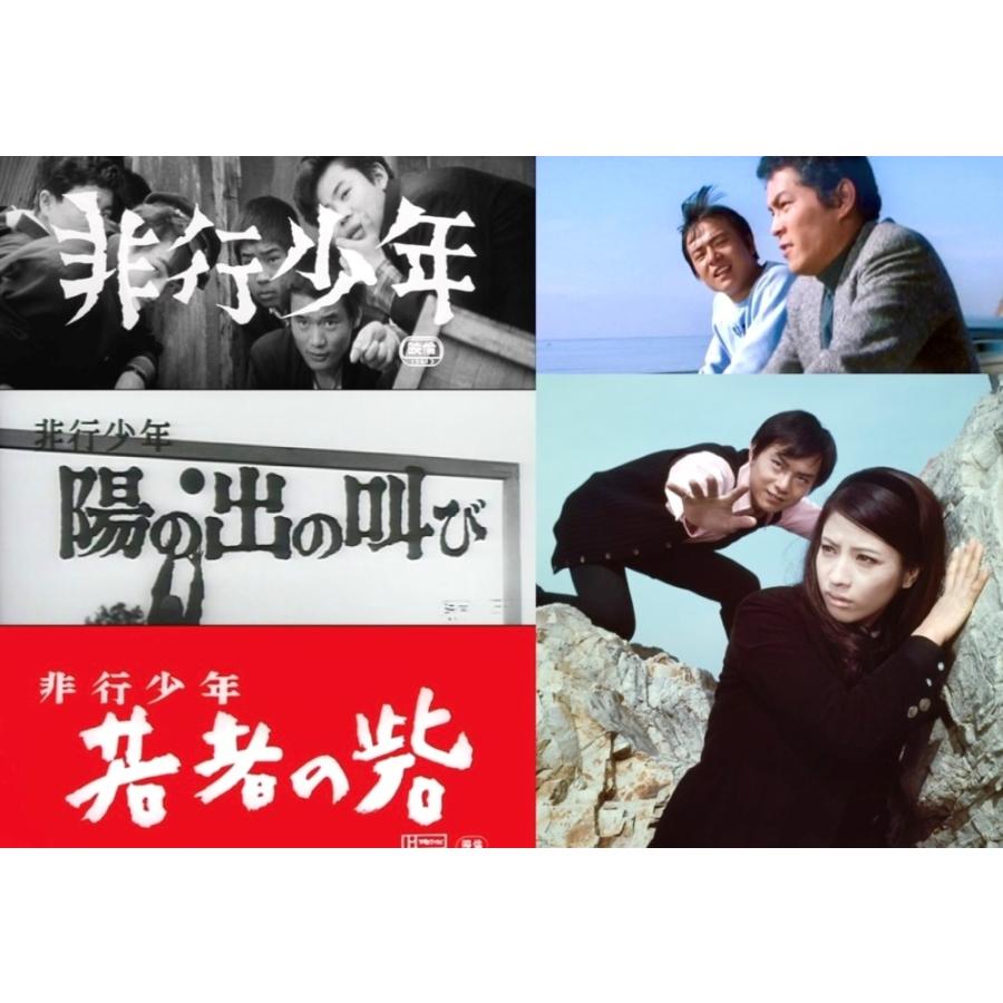 劇映画 非行少年シリーズ 昭和の名作ライブラリー 第161集 ベスト