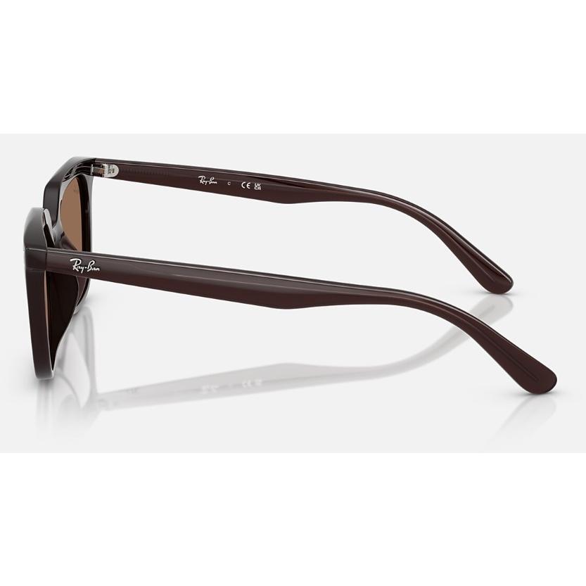 Ray-Ban（レイバン） 正規保証書(押印)付 Ray-Ban 4439D ( Low Bridge