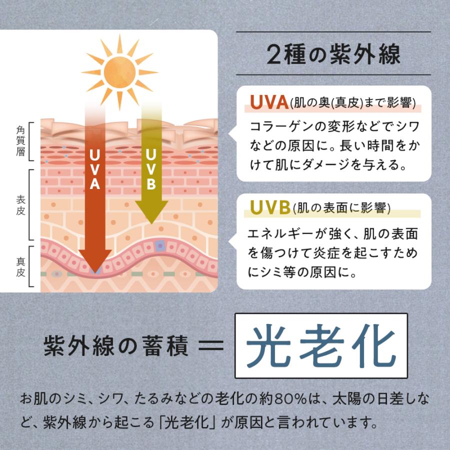 キラリズム ホワイトヴェール プレミアム 1袋 ニュートロックスサン