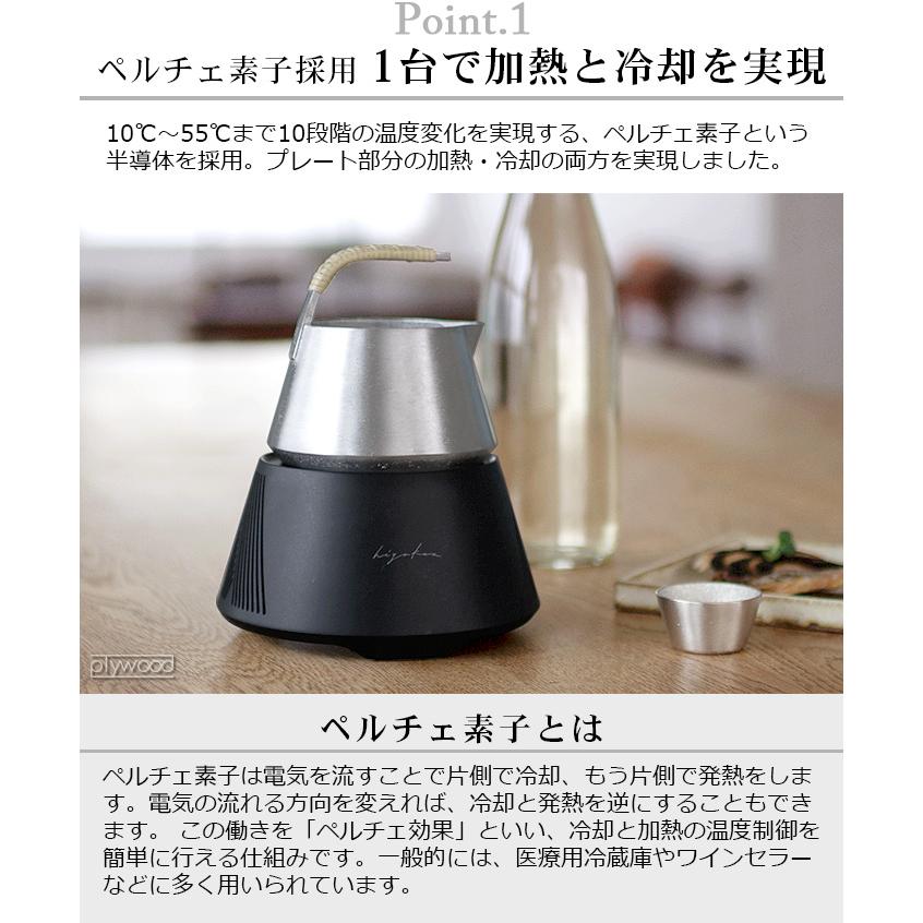 酒器 熱燗 温め 器 ヒヤカン プロ スタンダードセット HK-02 hiyakan