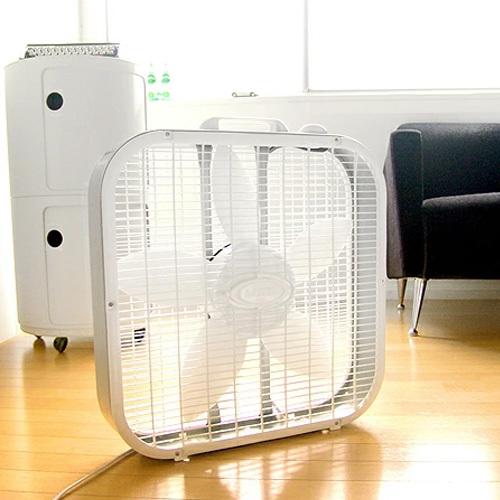 選べる特典付】サーキュレーター 扇風機 ラスコ ボックスファン