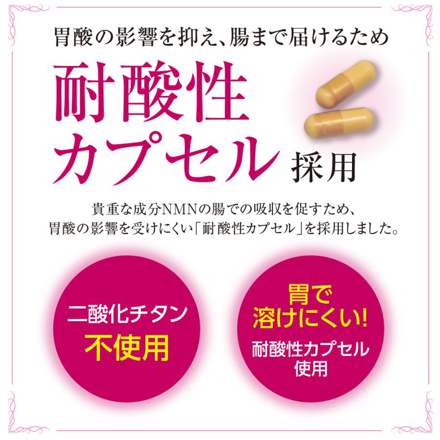 賞味期限間近のため訳あり 賞味期限2026年5月12日 NMN Re:AGE 60粒