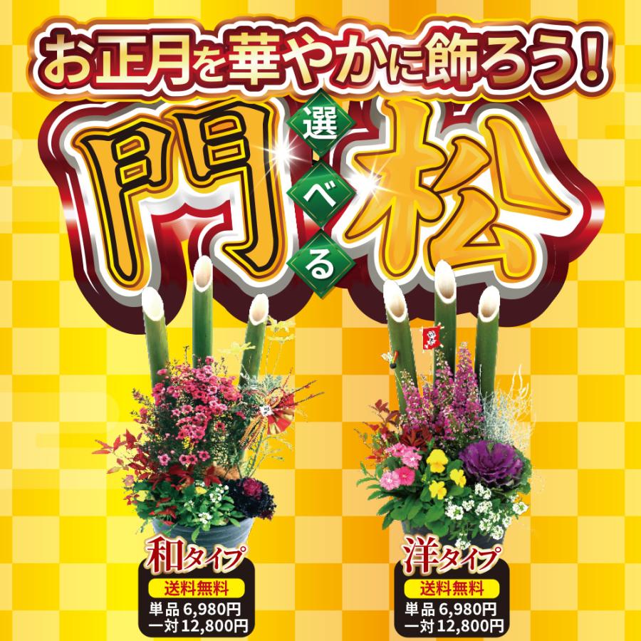 2個セット（一対）選べる門松『 お正月寄せ植え 』 正月飾り 門松
