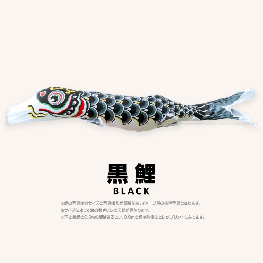 こいのぼり 単品 羽衣錦鯉 3m 単品鯉 : 節句&ギフト専門店 ぷりふあ