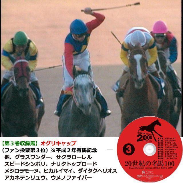 爆買 DVD「20世紀の名馬100」永久保存版全10枚組 (JRA Dream Horses