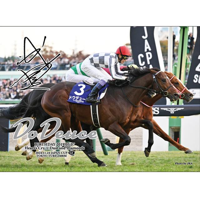 爆買 ドウデュース 2024年ジャパンカップ ジグソーパズル 500ピース