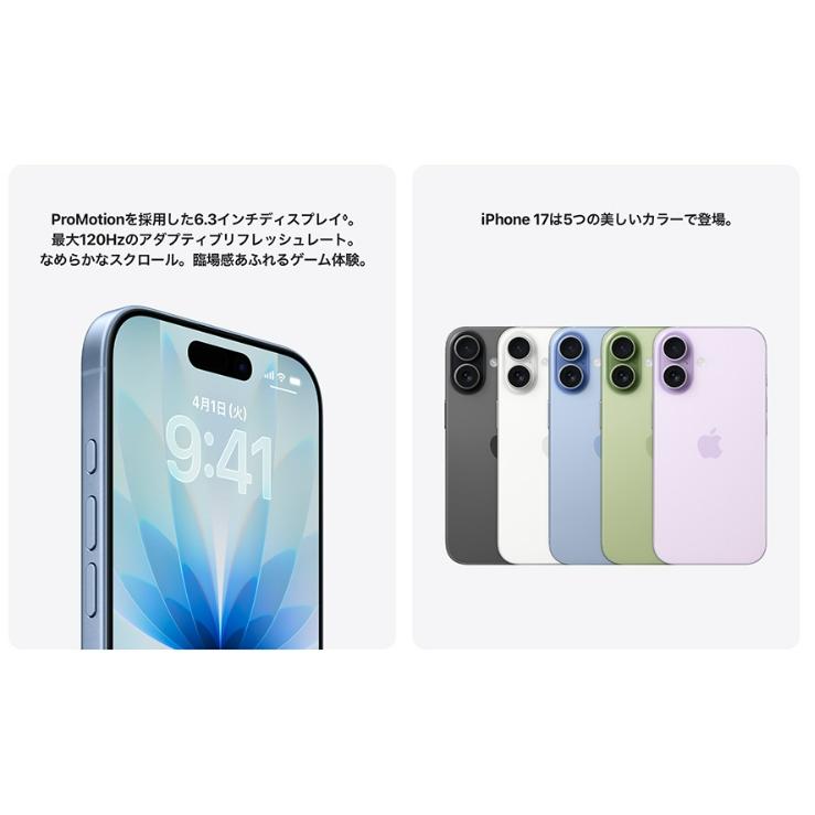 iPhone 17 「新品・未開封品」 SIMフリー 256GB セージ : Quality Shop