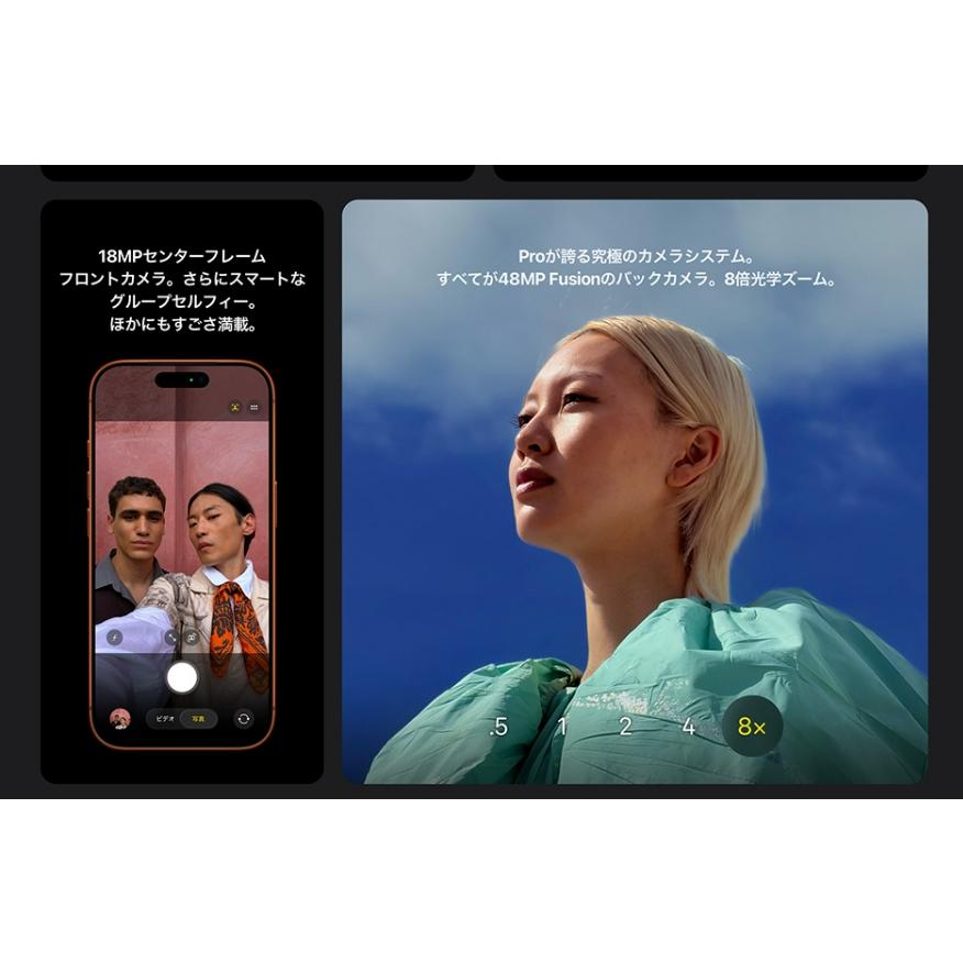 iPhone 17 Pro Max 【新品 未開封品】SIMフリー 256GB [シルバー