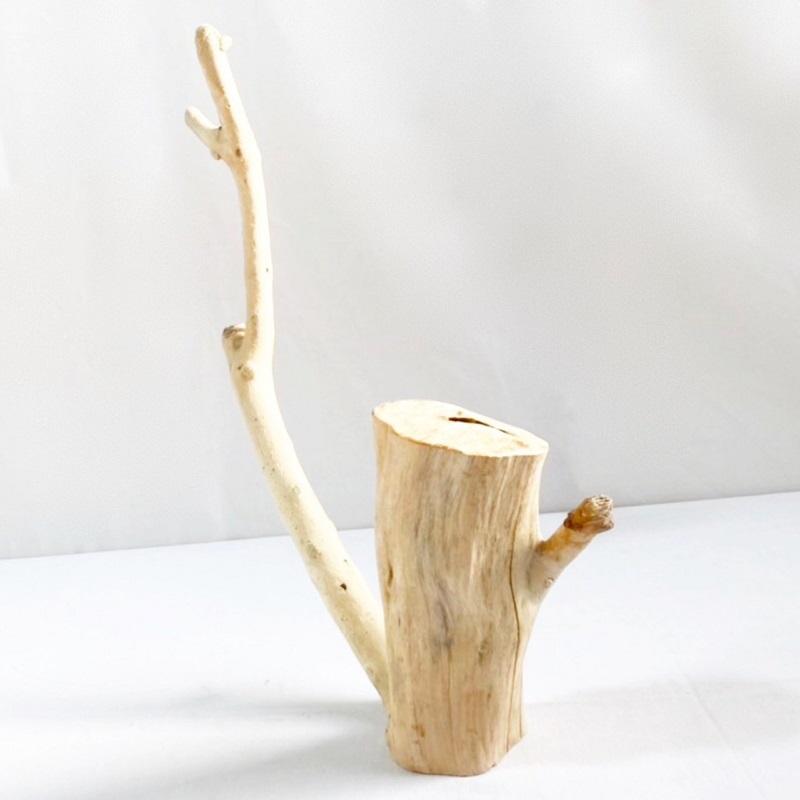 流木 塊流木 インテリアデザイン 造園 工芸品 パルダリウム エア