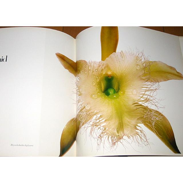 洋書写真集 フラワーズ/アービング・ペン/ FLOWERS/Irving Penn（輸入