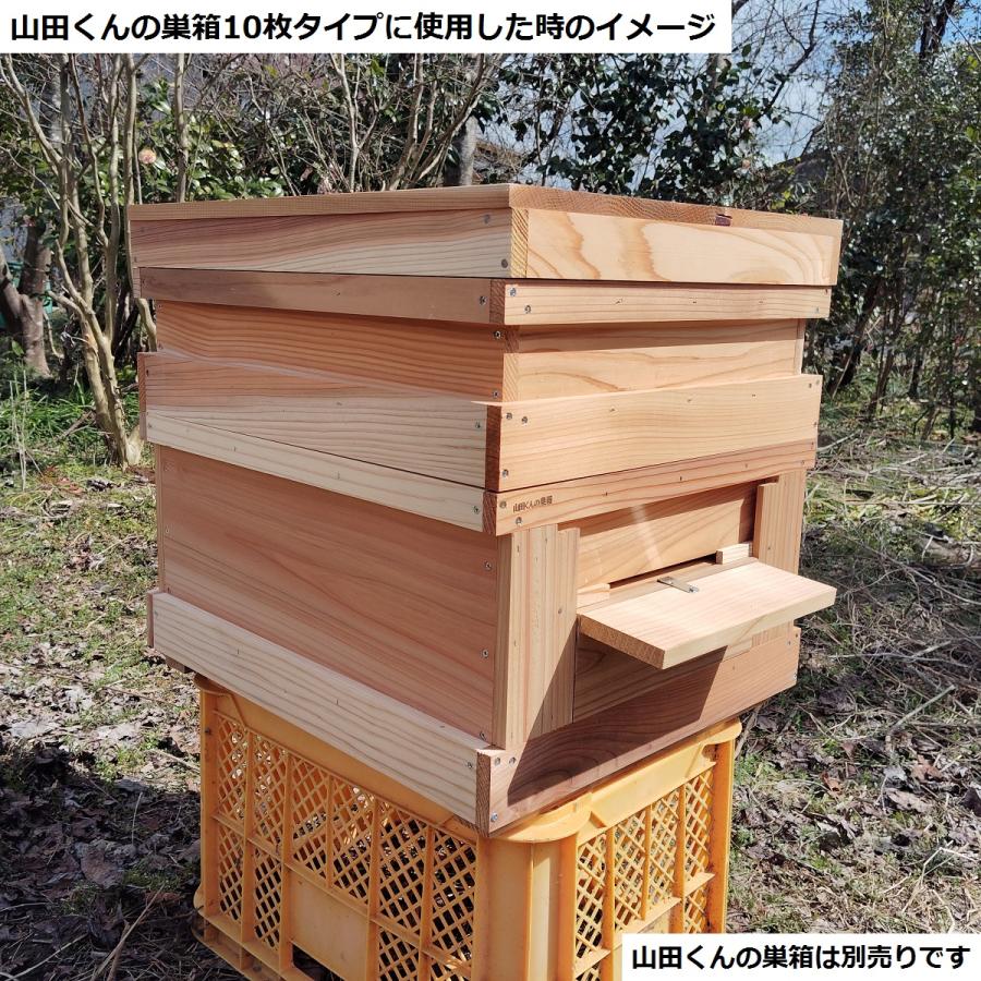 西洋ミツバチ 継箱ハーフサイズ10枚箱用 ハーフサイズ巣礎付き巣枠10枚
