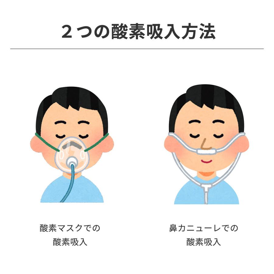 RABLISS 酸素発生器 P10倍【使い方動画有り】93%高濃度 高濃度酸素