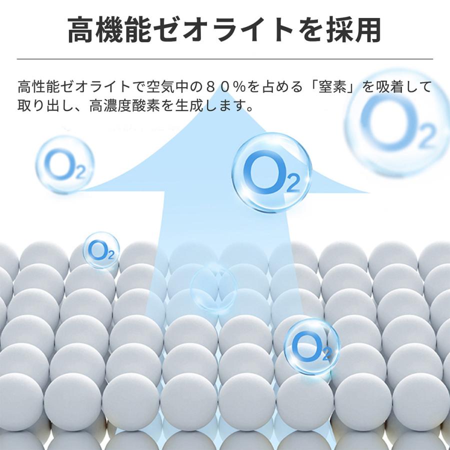 RABLISS 酸素発生器 P10倍【使い方動画有り】93%高濃度 高濃度酸素