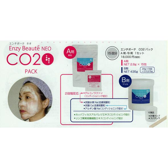 高濃度炭酸ガスパック リンゴ果実幹細胞エキス 海藻成分 ラクトン処方