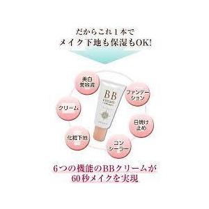 送料無料//ワン・ブラッシュ BBクリーム白美肌サポート 35g BC-N