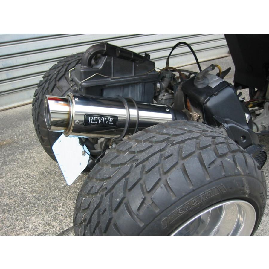 新品!!REVIVE(リバイブ) 後期ジャイロX キャノピー カチ上げスポーツ