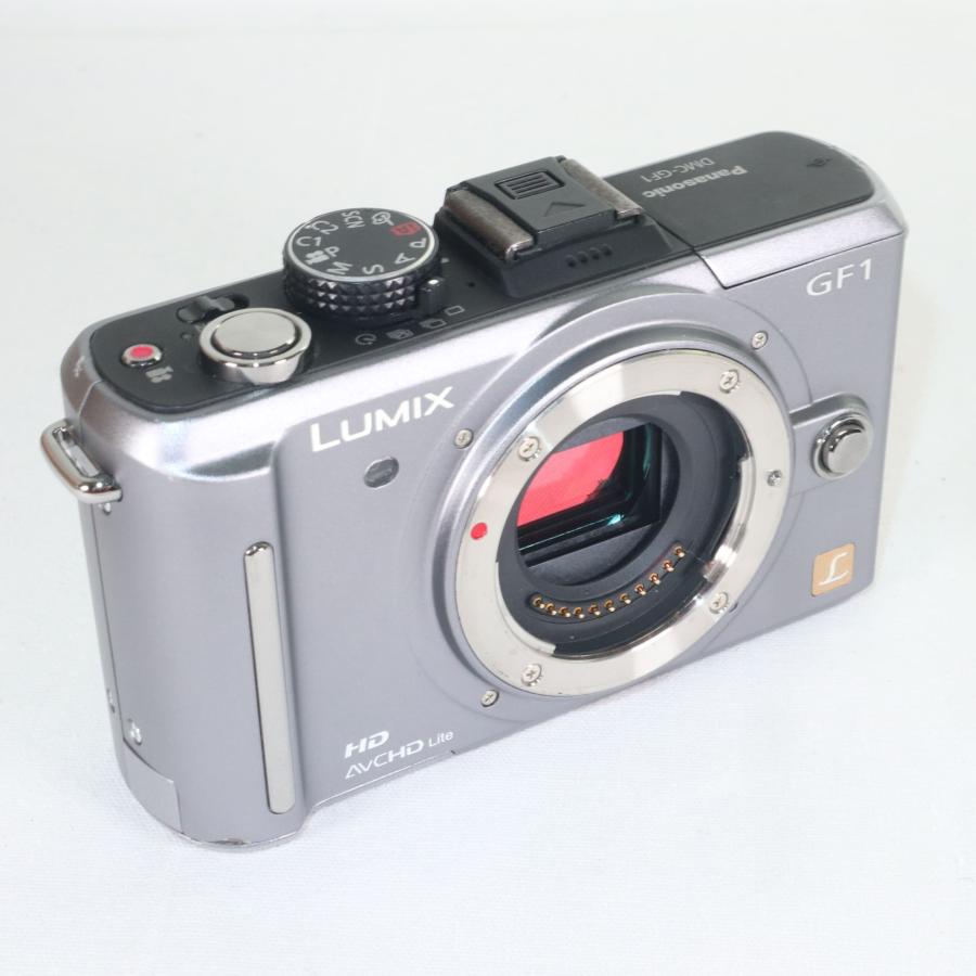Panasonic LUMIX DMC-GF1 ボディ ブレードシルバー ミラーレス k735