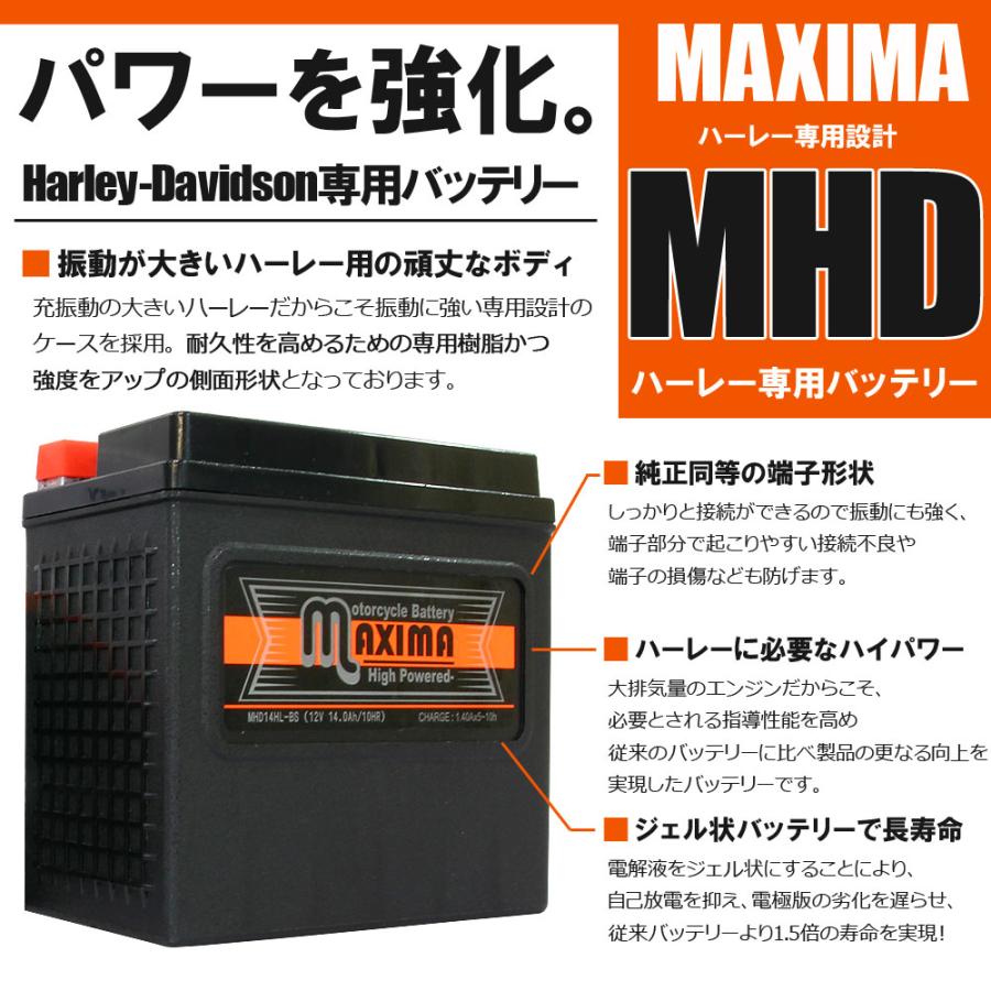 Harley Davidson（ハーレー・ダビッドソン） ハーレー専用 充電済み