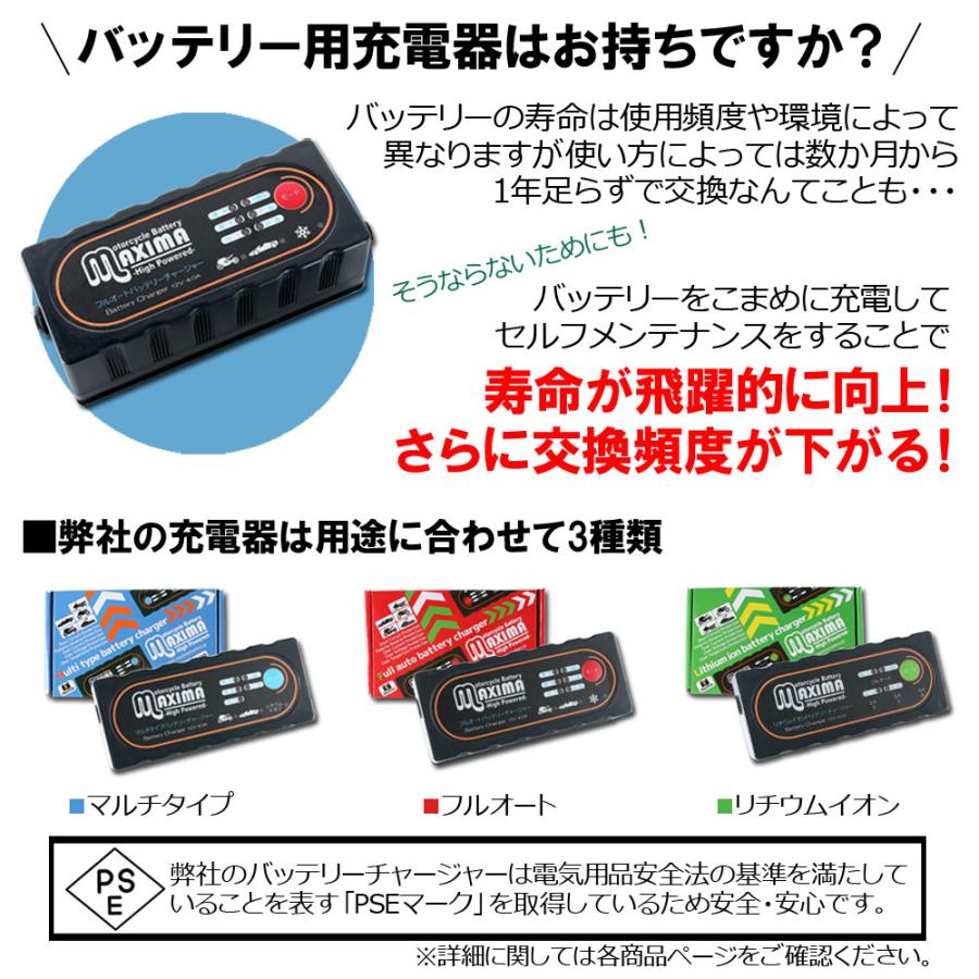 Harley Davidson（ハーレー・ダビッドソン） ハーレー専用 充電済み