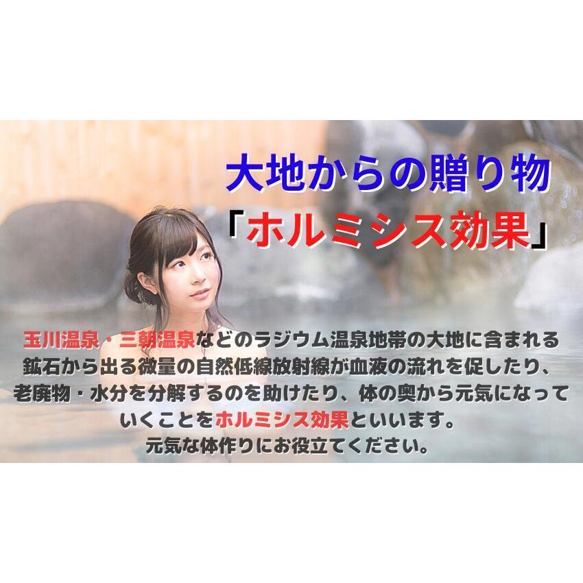 おうちで湯治 ホルミシス入浴剤 ほるみんの湯 3個パック ラドン温浴