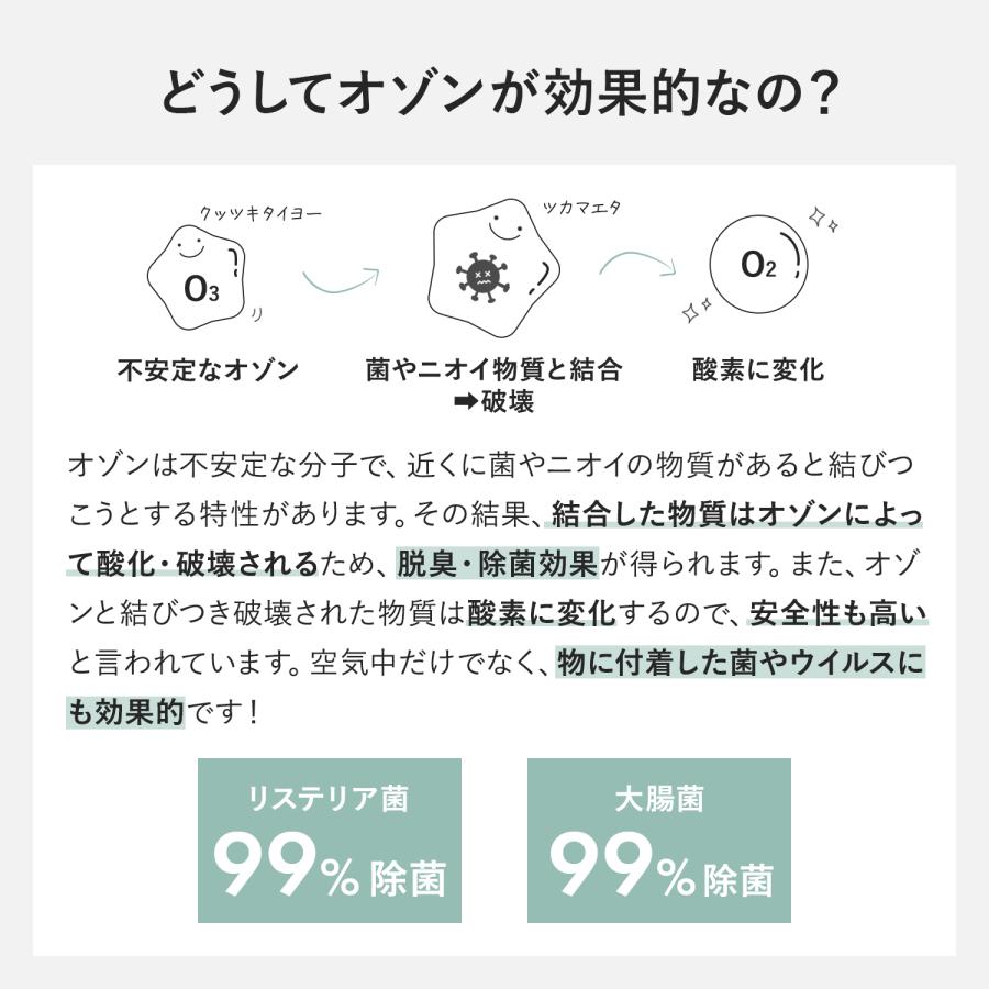 ミニ空気清浄機 オゾン発生器 脱臭 脱臭機 除菌 充電式 オゾン脱臭機