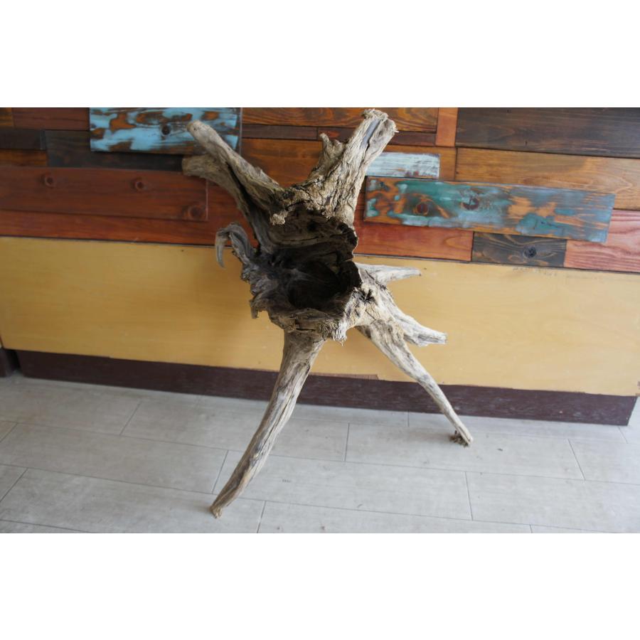 インテリア オブジェ おしゃれ 爬虫類 登り 木 流木 レイアウト