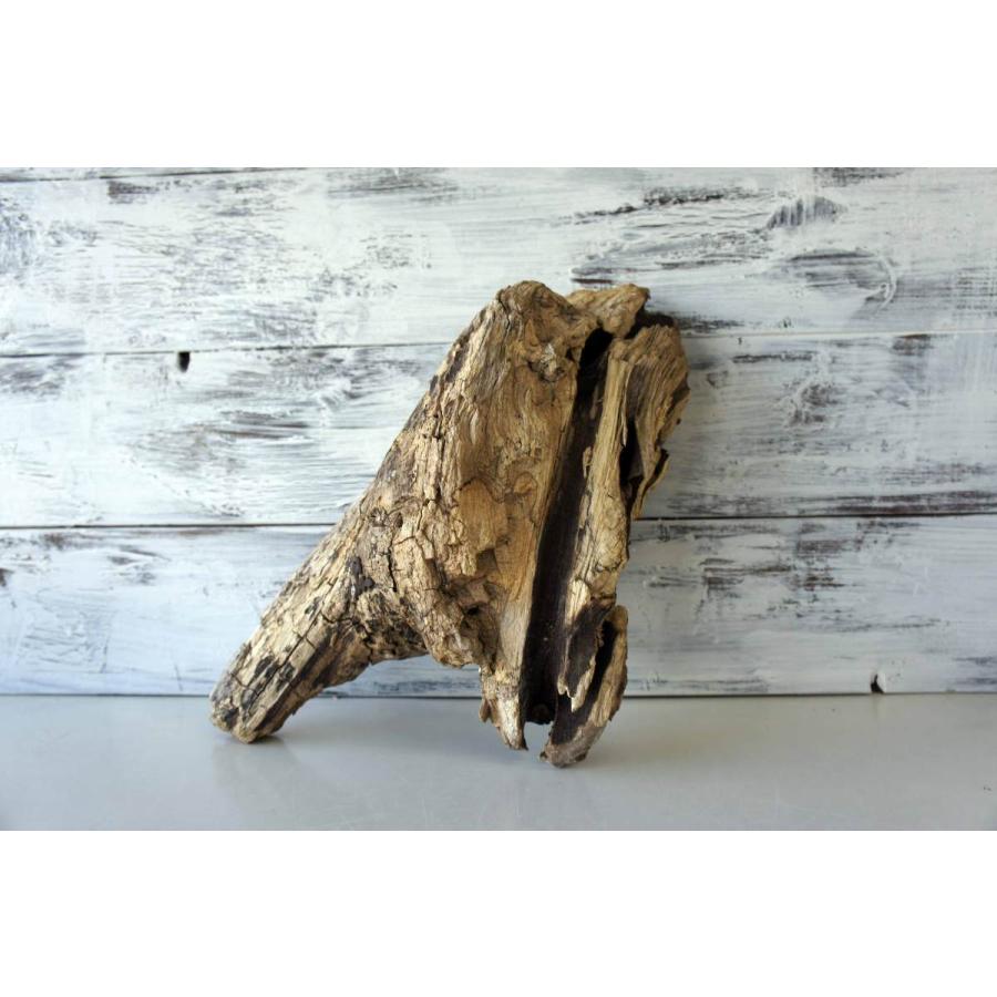 流木 爬虫類 登り木 あく抜き処理 煮沸消毒済 トカゲ ヤモリ ケージ