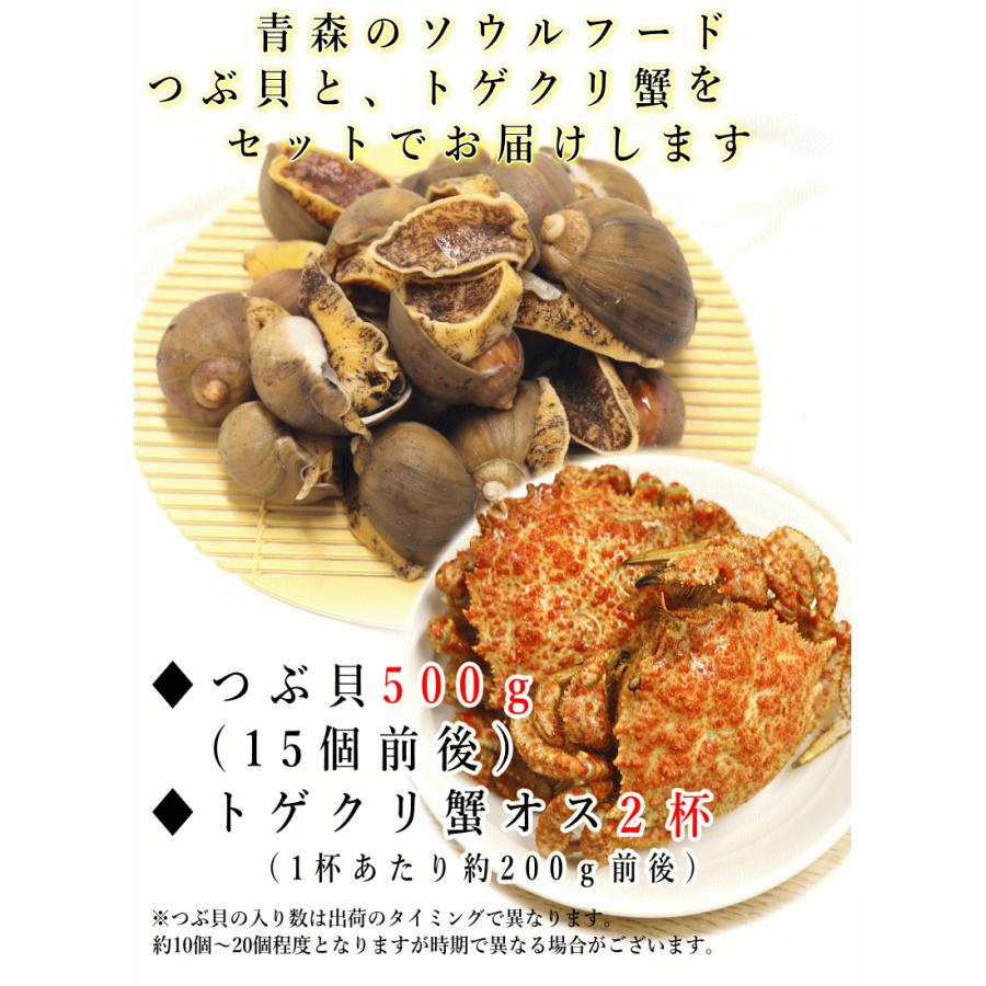 青森 陸奥湾 つぶ貝500g トゲクリ蟹オス2杯 セット 凍眠冷凍 送料無料