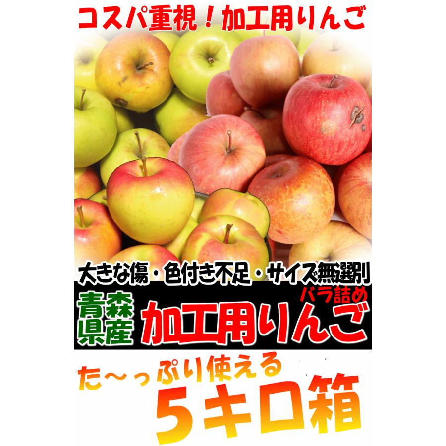 即日発送 青森 りんご 5kg箱 訳あり/加工用 選べる品種 送料無料