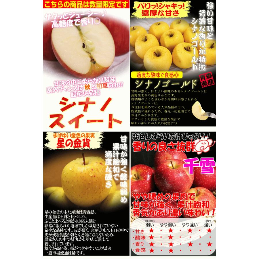 即日発送 青森 りんご 5kg箱 訳あり/加工用 選べる品種 送料無料