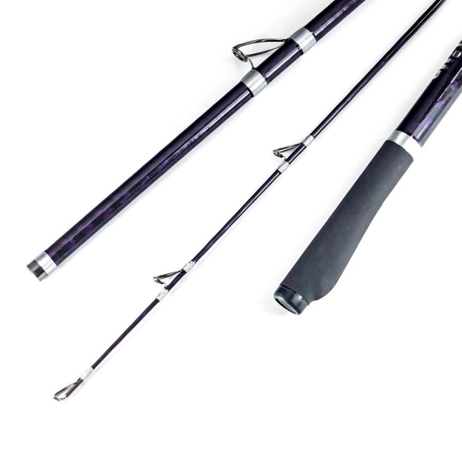 投げ竿 並継 4.2m 60号 3本継 本格派投竿 バイオレット インビンシブル