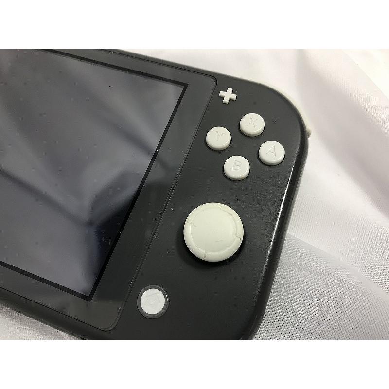 ニンテンドー Nintendo Switch Lite グレー HDH-001 : ワットマン