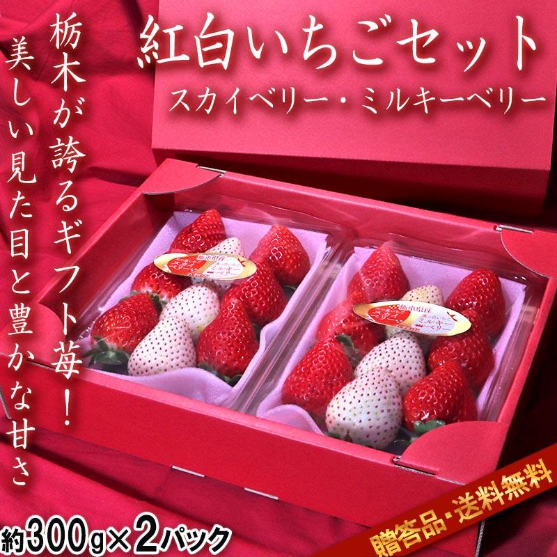 紅白いちごセット スカイベリー・ミルキーベリー 約300g×2パック 栃木