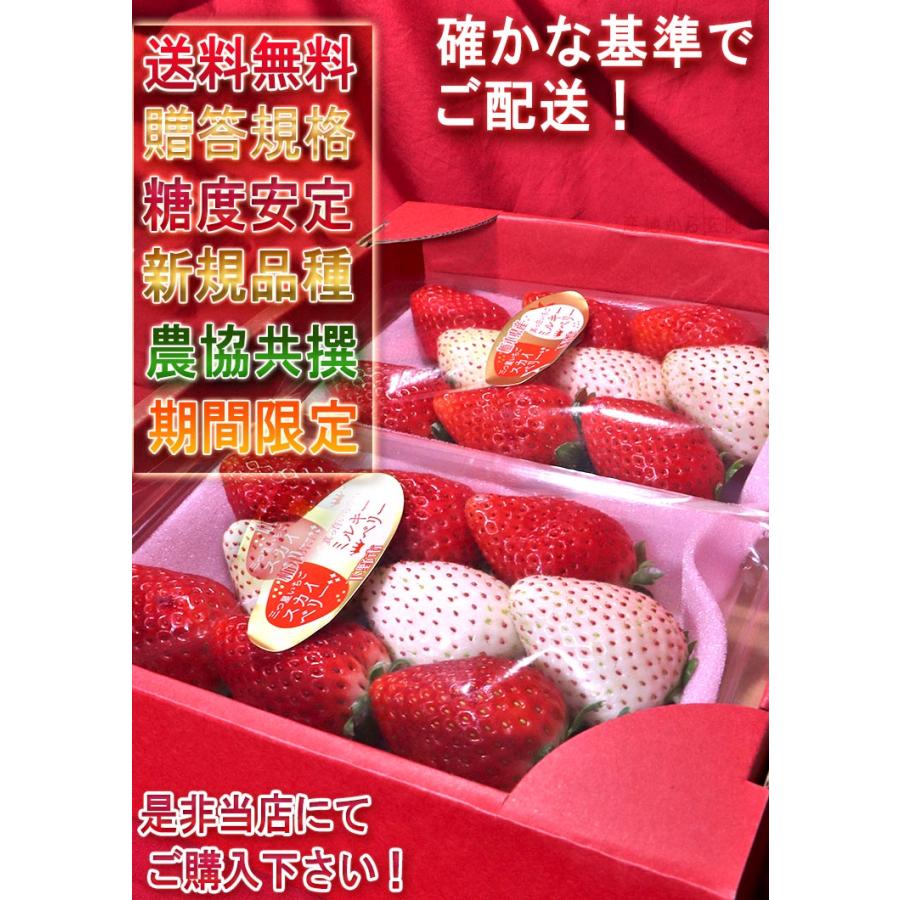 紅白いちごセット スカイベリー・ミルキーベリー 約300g×2パック 栃木