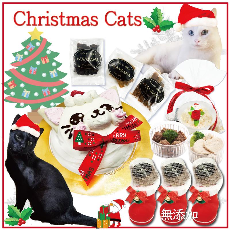 帝塚山WANBANA まだ間に合う！あすつく 猫用 クリスマスケーキ/ニャン