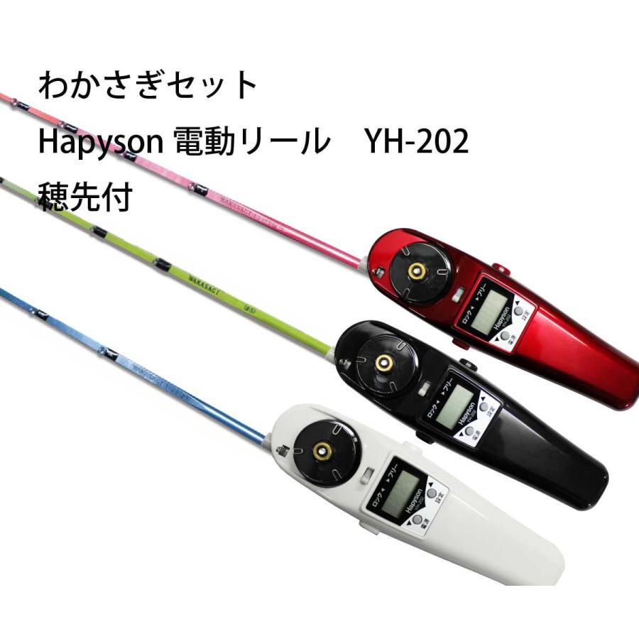 Hapyson わかさぎセット 極技ワカサギ替え穂先 25cm HAPYSON 電動