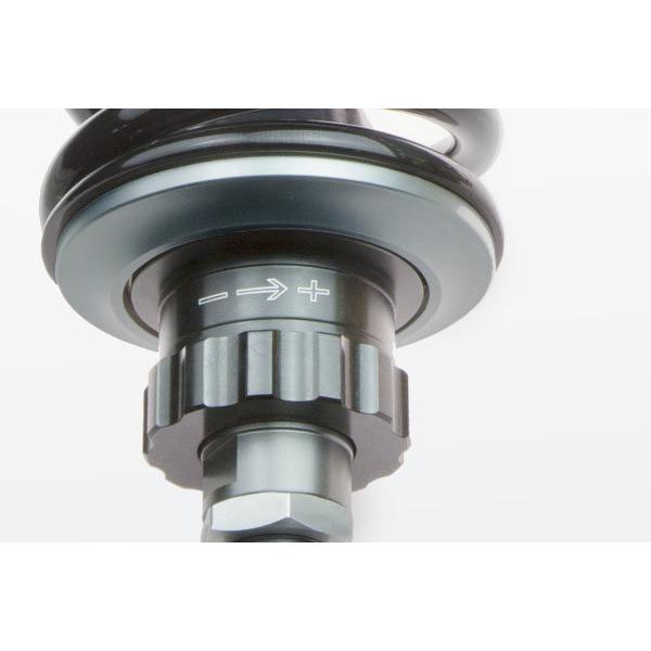 NITRON（ナイトロン） リアサスペンションツインショック TWIN R1