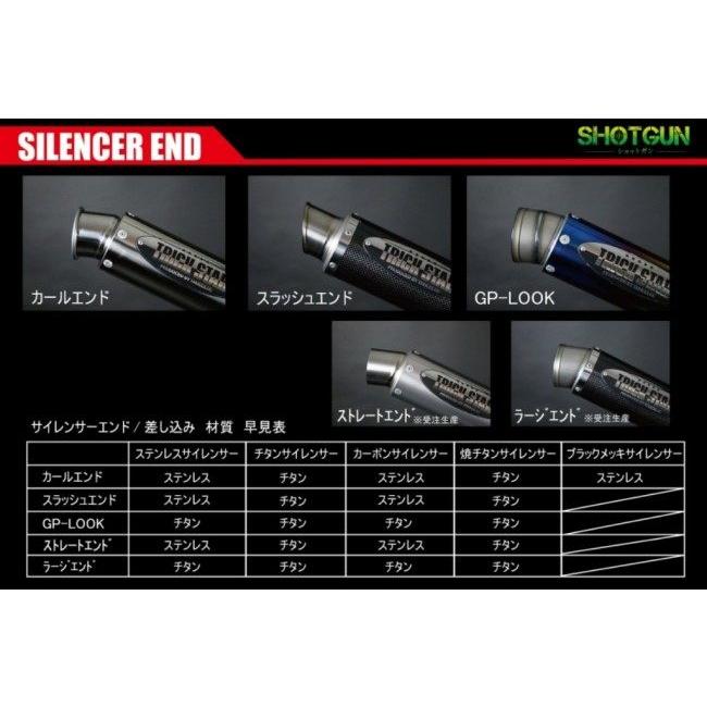 TRICK STAR（トリックスター） レーシングスリップオンマフラー