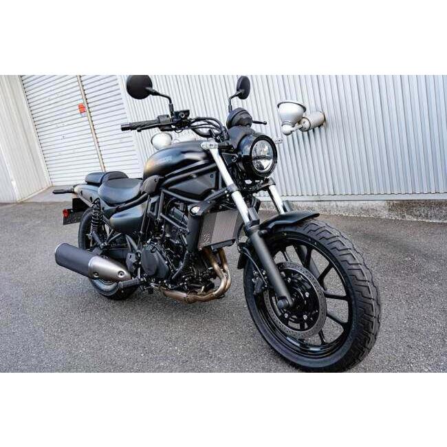 TRICK STAR（トリックスター） ラジエターコアガード EVA タイプ：初