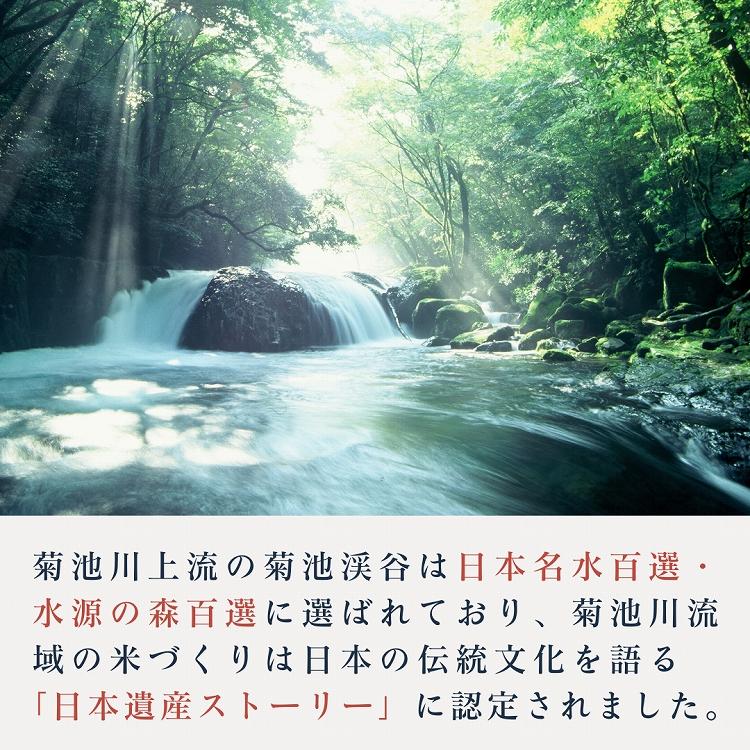 ヒノヒカリ 自然栽培米 5kg 白米 玄米 令和7年産 熊本県産 菊池 自社