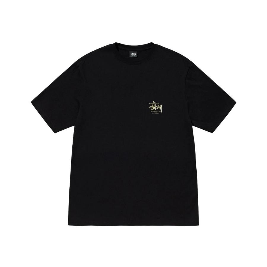 STUSSY（ステューシー） STUSSY DRAGON TEE 1904847 メンズ 半袖 T