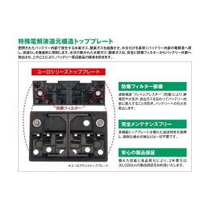 YANASE ヤナセ 輸入車用 EUROバッテリー EURO BLACK SB062BG : White