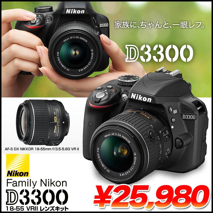 ゾロタロウさん専用Nikon D3300 デジタル一眼レフカメラセット Amazon