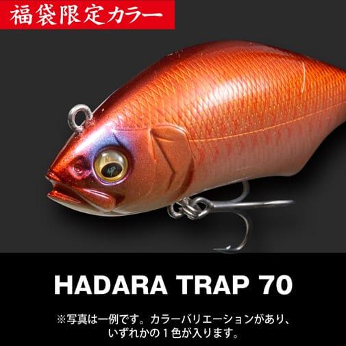 Megabass（メガバス） 2026福袋 SALT SET ソルト ルアー セット : WILD